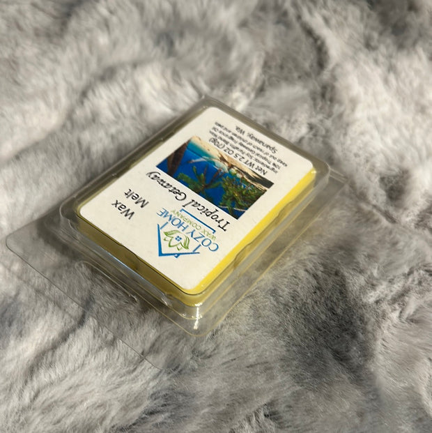 Tropical Getaway Wax Melt 2.5oz
